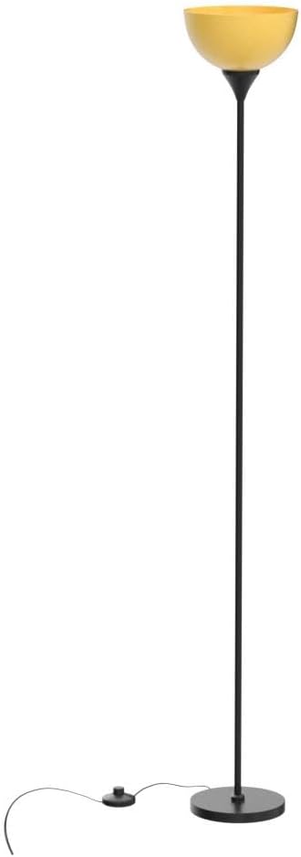 Control Stepless Dimmable Floor Lamp